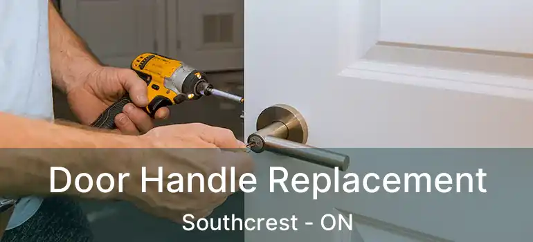  Door Handle Replacement Southcrest - ON