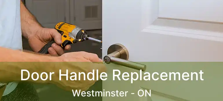  Door Handle Replacement Westminster - ON