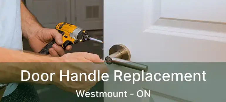  Door Handle Replacement Westmount - ON