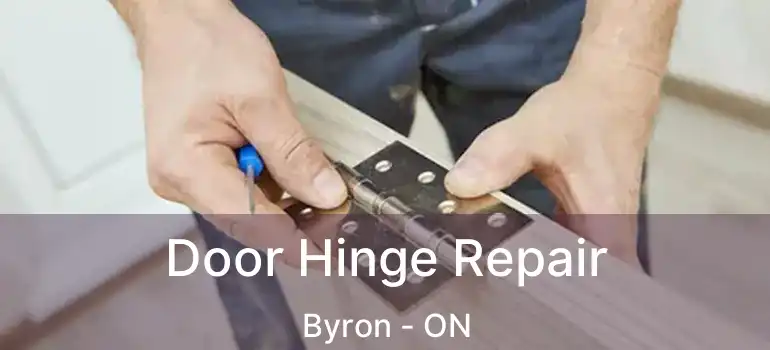  Door Hinge Repair Byron - ON