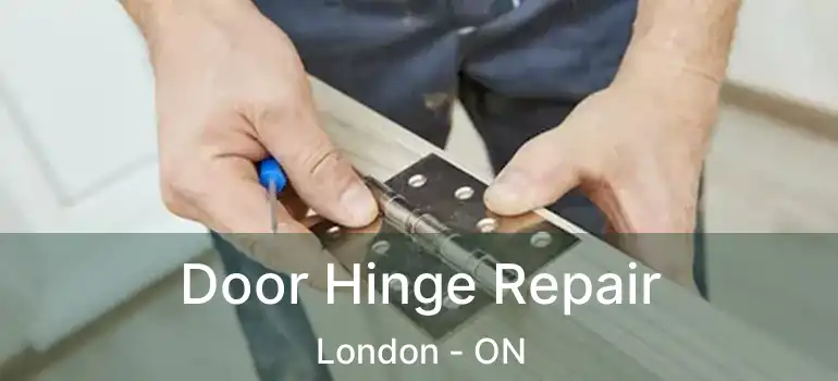  Door Hinge Repair London - ON