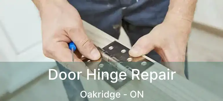  Door Hinge Repair Oakridge - ON