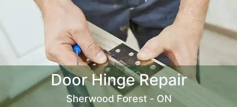  Door Hinge Repair Sherwood Forest - ON