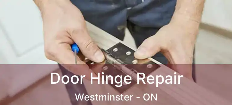  Door Hinge Repair Westminster - ON