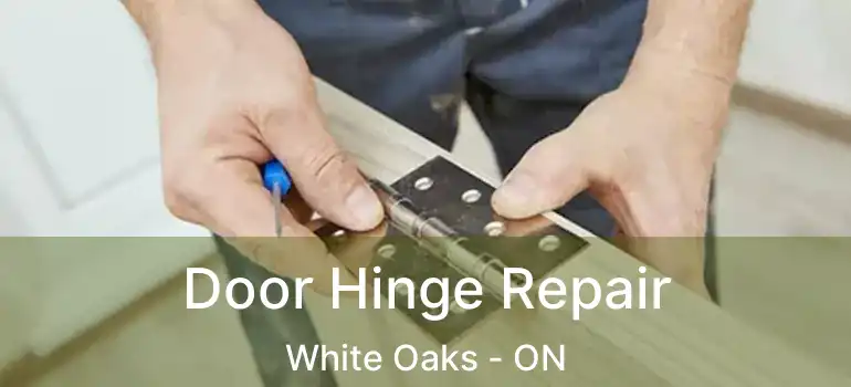  Door Hinge Repair White Oaks - ON
