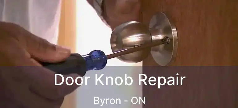  Door Knob Repair Byron - ON
