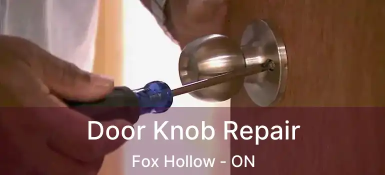  Door Knob Repair Fox Hollow - ON