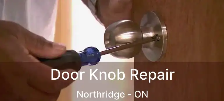  Door Knob Repair Northridge - ON