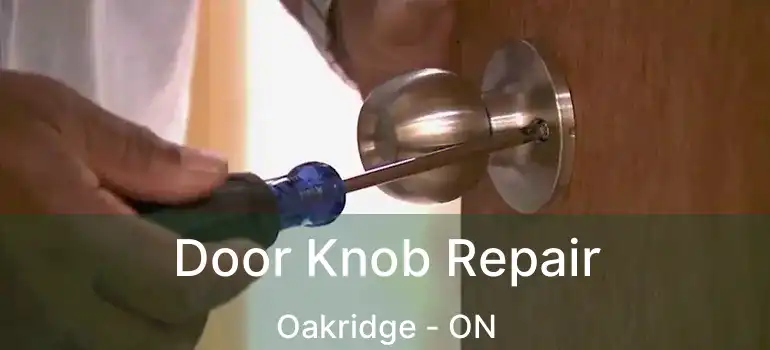  Door Knob Repair Oakridge - ON