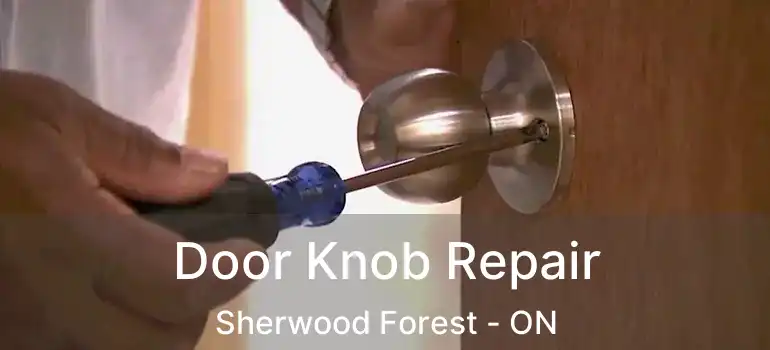  Door Knob Repair Sherwood Forest - ON