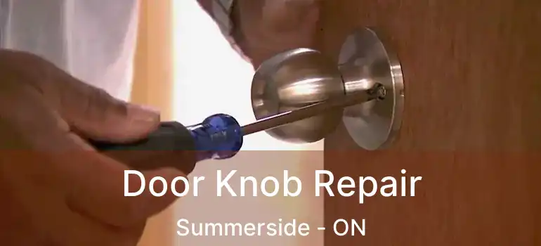  Door Knob Repair Summerside - ON