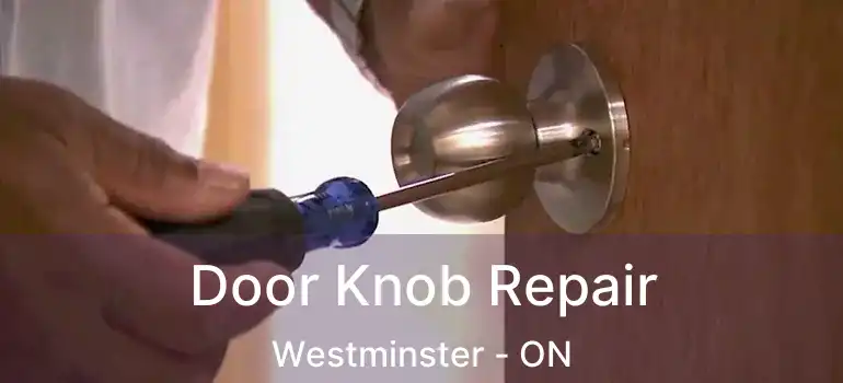  Door Knob Repair Westminster - ON