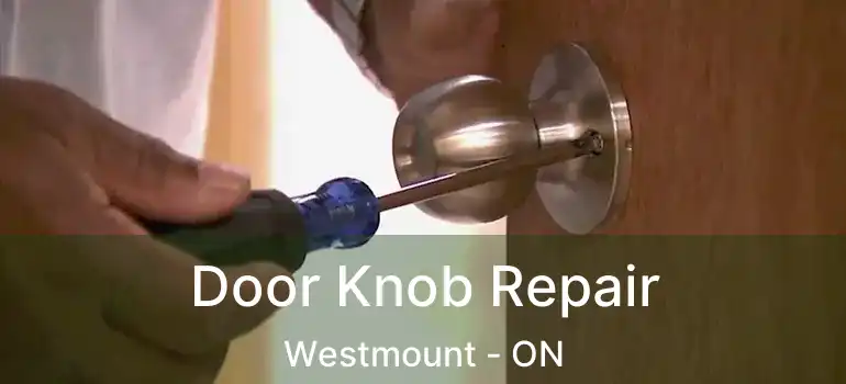  Door Knob Repair Westmount - ON