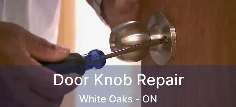  Door Knob Repair White Oaks - ON