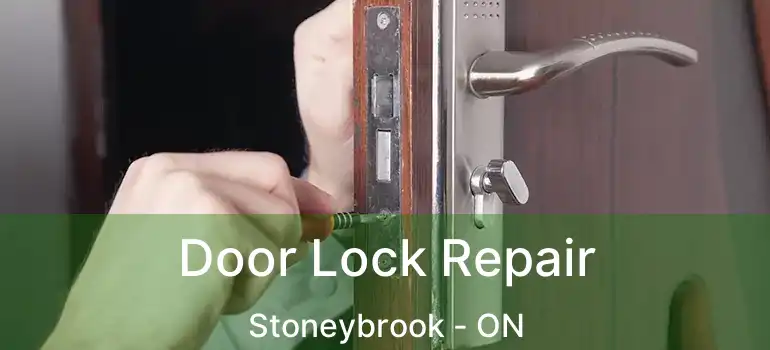  Door Lock Repair Stoneybrook - ON