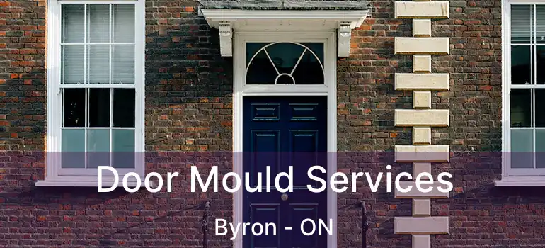  Door Mould Services Byron - ON