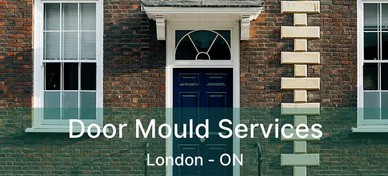  Door Mould Services London - ON