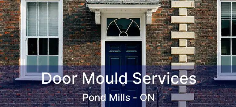  Door Mould Services Pond Mills - ON