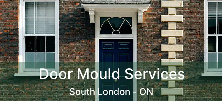  Door Mould Services South London - ON