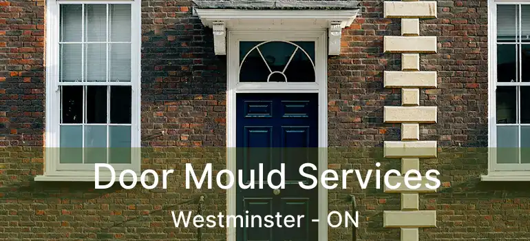  Door Mould Services Westminster - ON