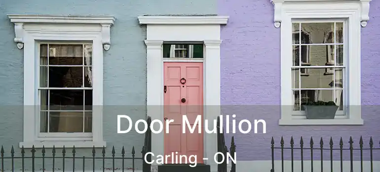  Door Mullion Carling - ON