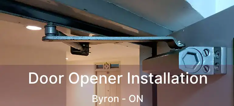  Door Opener Installation Byron - ON