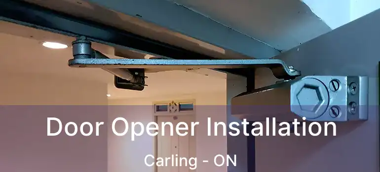  Door Opener Installation Carling - ON