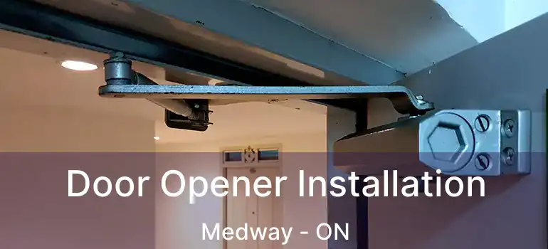  Door Opener Installation Medway - ON