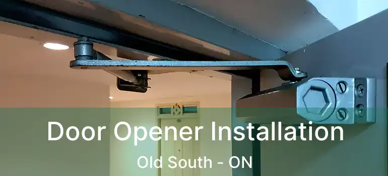  Door Opener Installation Old South - ON