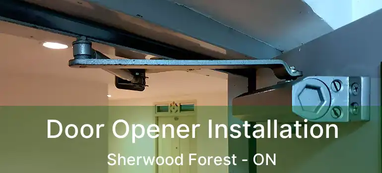  Door Opener Installation Sherwood Forest - ON