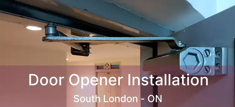 Door Opener Installation South London - ON