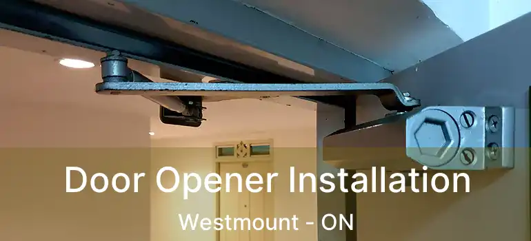  Door Opener Installation Westmount - ON