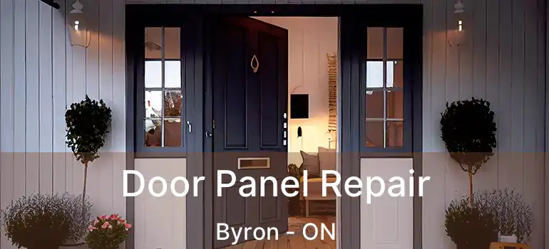  Door Panel Repair Byron - ON