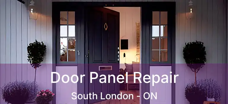  Door Panel Repair South London - ON