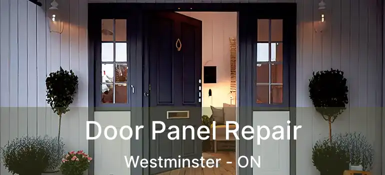  Door Panel Repair Westminster - ON