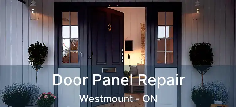  Door Panel Repair Westmount - ON