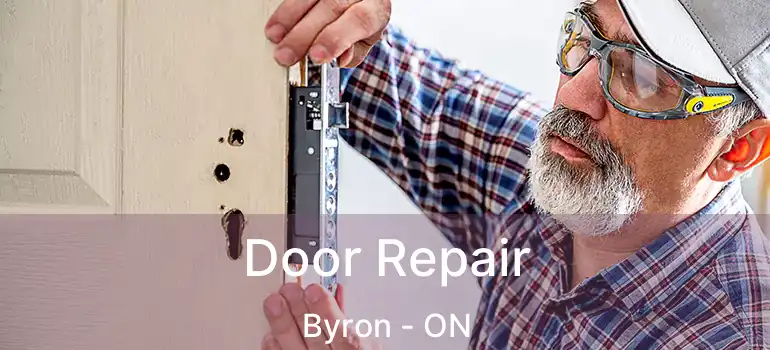  Door Repair Byron - ON