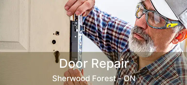 Door Repair Sherwood Forest - ON