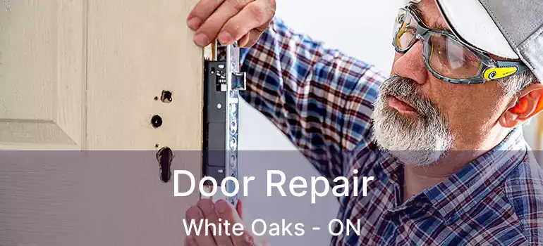  Door Repair White Oaks - ON