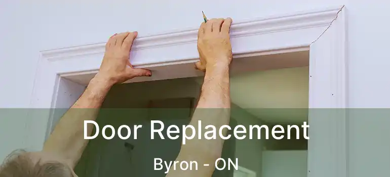  Door Replacement Byron - ON