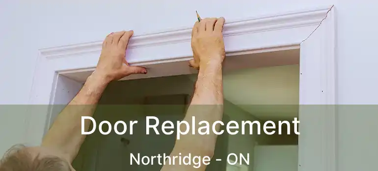  Door Replacement Northridge - ON