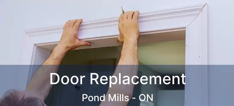  Door Replacement Pond Mills - ON