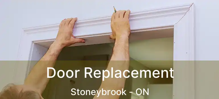  Door Replacement Stoneybrook - ON