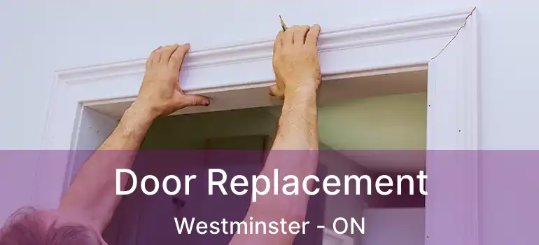  Door Replacement Westminster - ON