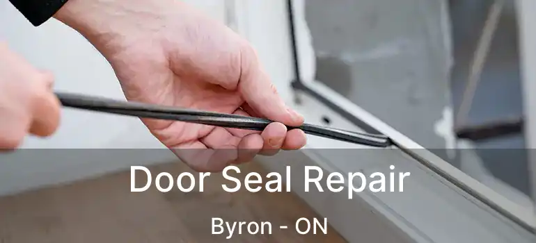  Door Seal Repair Byron - ON