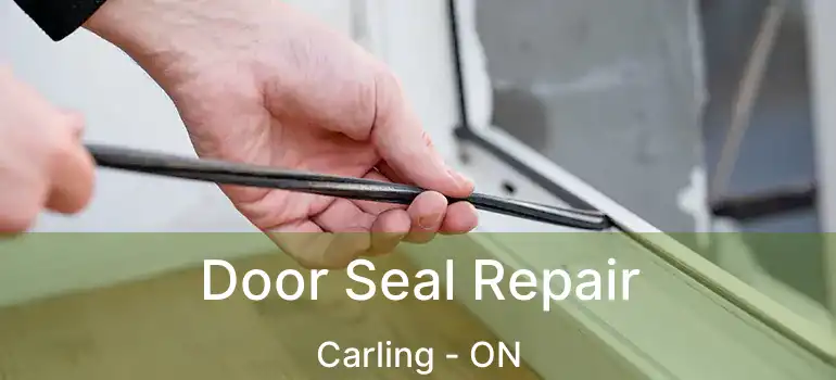  Door Seal Repair Carling - ON
