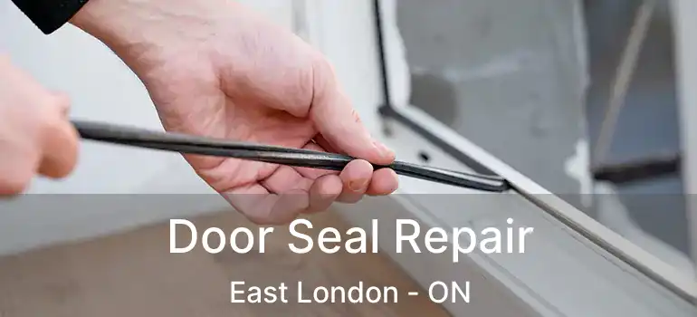  Door Seal Repair East London - ON