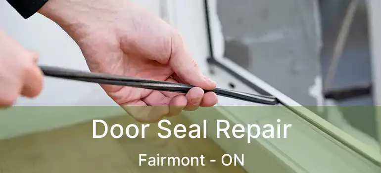  Door Seal Repair Fairmont - ON