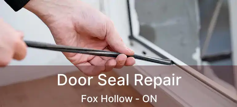  Door Seal Repair Fox Hollow - ON