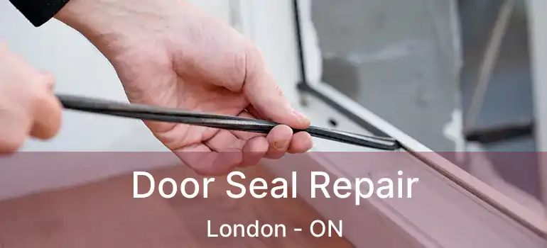  Door Seal Repair London - ON